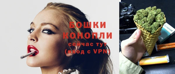 СК Гусев