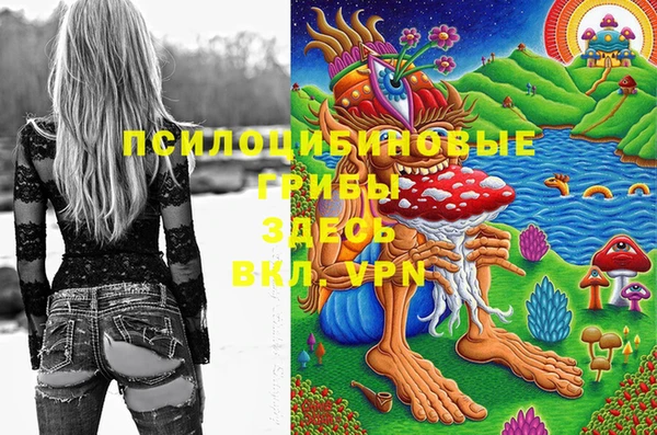 стафф Горняк
