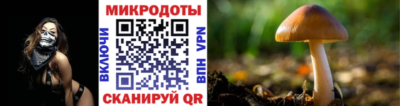 купить наркоту Ельня Псилоцибиновые грибы Cubensis
